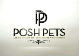 PoshPetsPortfolio